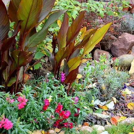 Апартаменты With Outdoor Jacuzzi And Sauna *