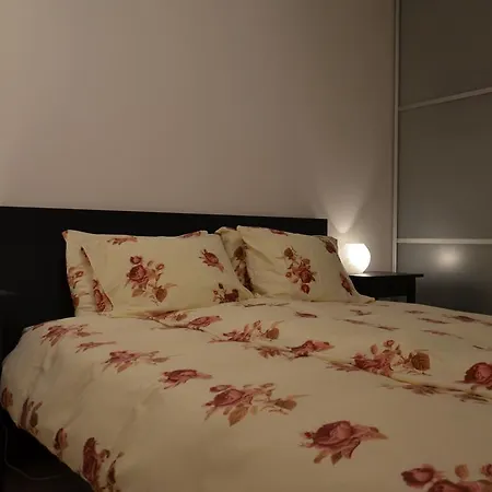 With Outdoor Jacuzzi And Sauna *