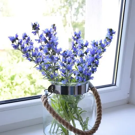 Appartement With Outdoor Jacuzzi And Sauna *