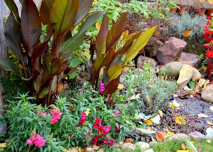 Апартаменты With Outdoor Jacuzzi And Sauna *