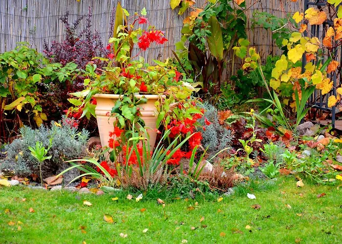 With Outdoor Jacuzzi And Sauna