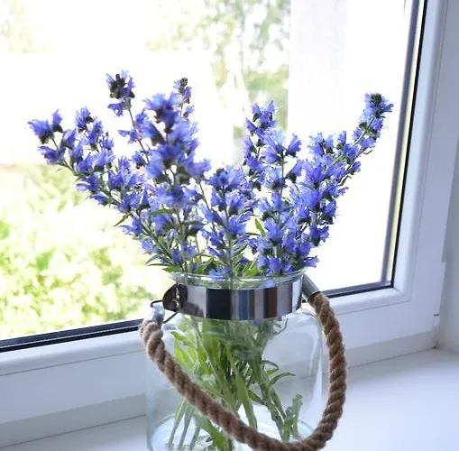 Butas With Outdoor Jacuzzi And Sauna *