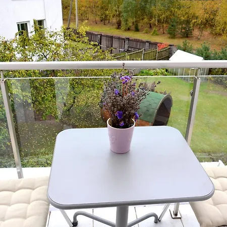 With Outdoor Jacuzzi And Sauna