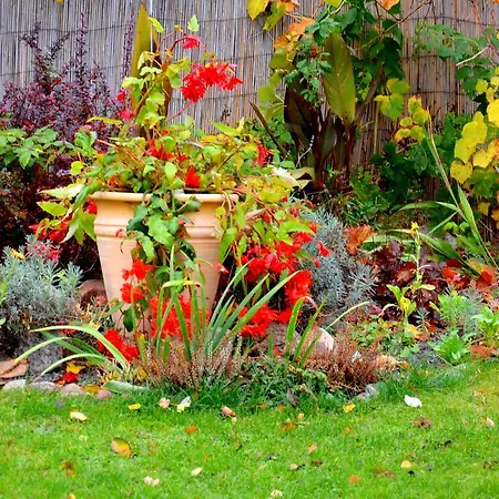 With Outdoor Jacuzzi And Sauna