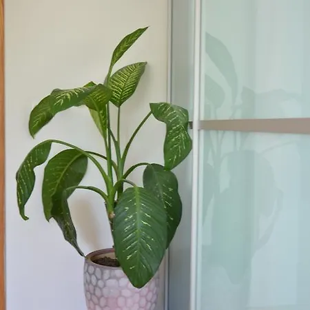 With Outdoor Jacuzzi And Sauna Apartamento