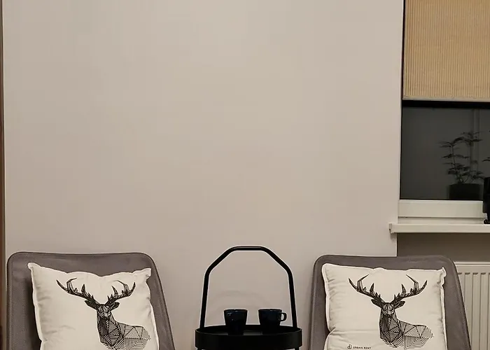 With Outdoor Jacuzzi And Sauna *